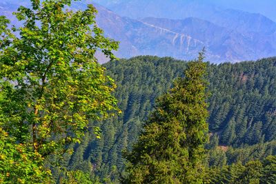 Scenic view of mountains