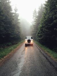 Road passing through trees