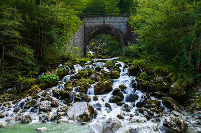 View of waterfall in forest