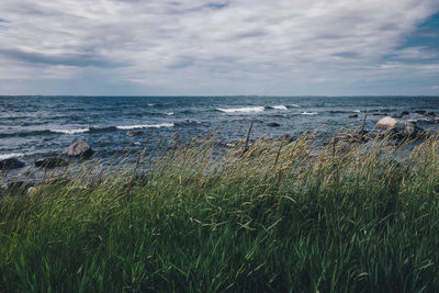 Scenic view of sea against sky