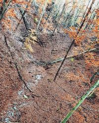 Full frame shot of white surface