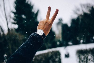 Close-up of hand doing peace in snow