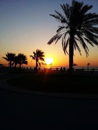 Silhouette of palm trees at sunset