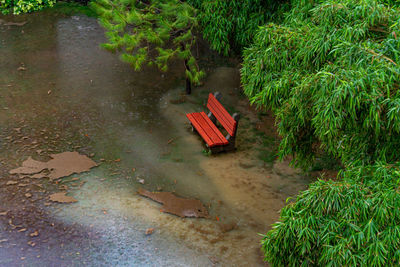 High angle view of trees by lake