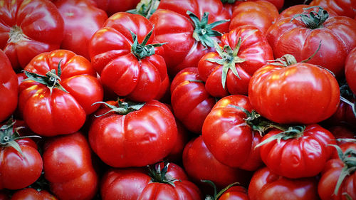 Full frame shot of tomatoes