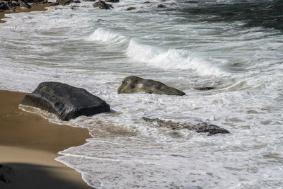 View of sea waves