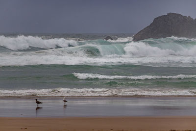 Scenic view of beach against clear sky