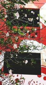 Close-up of red wall