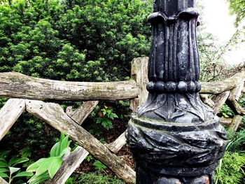 Close-up of old wooden tree trunk in forest