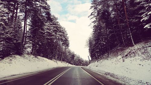 Road amidst trees against sky during winter