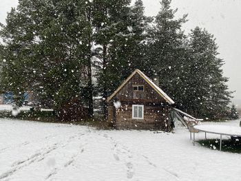 Snow covered house and trees against sky