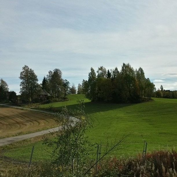 SCENIC VIEW OF FARMS AGAINST SKY