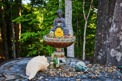 Close-up of statue in park