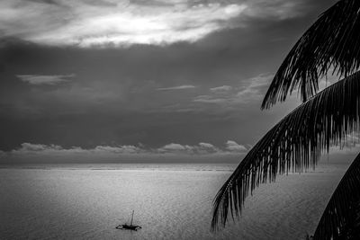 Silhouette palm trees by sea against sky