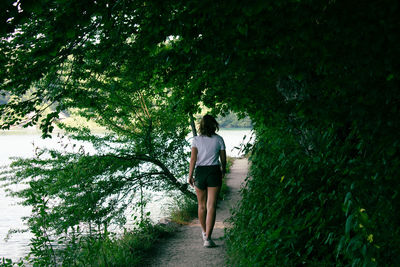 Rear view of woman standing on footpath amidst plants