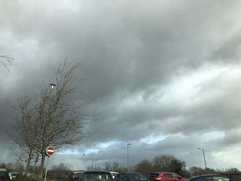 Low angle view of trees against cloudy sky