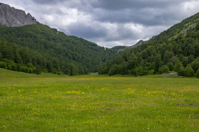 Scenic view of landscape against sky