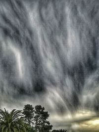 Low angle view of trees against cloudy sky
