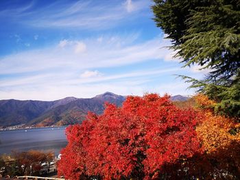 Scenic view of lake against sky during autumn