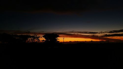 Silhouette of trees at sunset