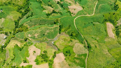 Aerial view of agricultural landscape with farmland and sugarcane plantations. negros, philippines