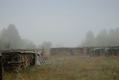 Trees on field against sky during foggy weather