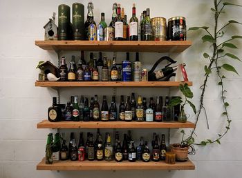 Various alcohol bottles on shelf against wall