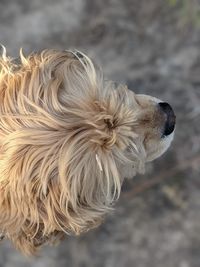 Lucie feeling the wind on her face