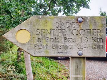 Close-up of information sign on tree trunk