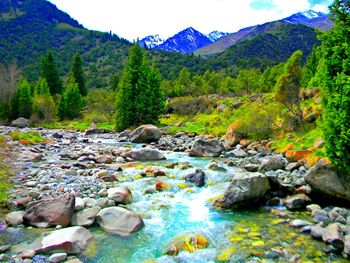 Scenic view of river in forest against sky