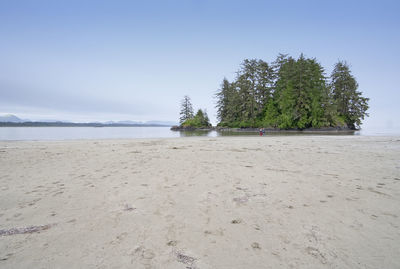 Scenic view of beach against clear sky