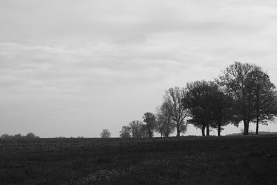 Trees on field against sky
