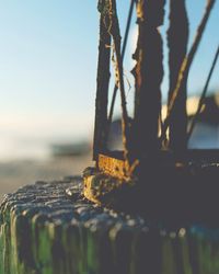 Close-up of rope on wooden post in sea against sky