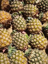 Full frame shot of fruits for sale in market