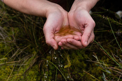 Close-up of hand holding plant