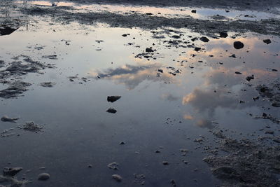 High angle view of puddle on beach