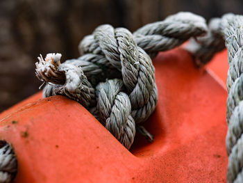 Close-up of rope tied up