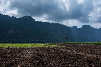 Scenic view of field against cloudy sky