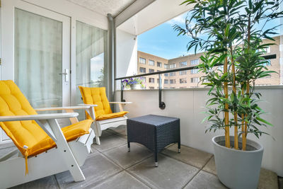 Potted plants on table by window at home