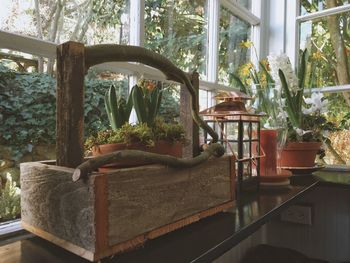 Potted plants on the wall