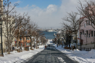 Bare trees on snow covered city against sky