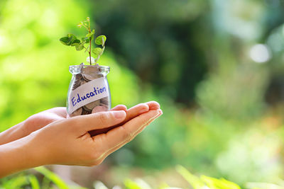 Close-up of hands holding education jar with coins and plant