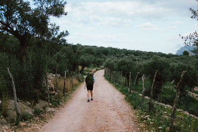 Rear view of woman walking on street amidst trees against sky