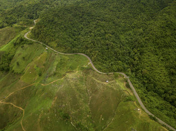 Directly above full frame shot of green landscape