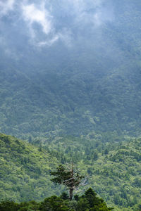 High angle view of landscape against sky