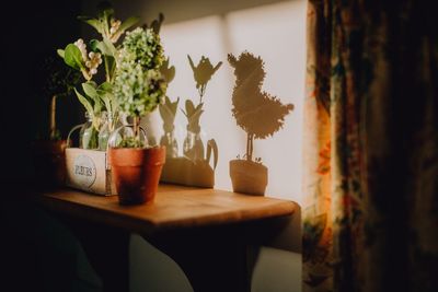 Close-up of potted plant on table at home