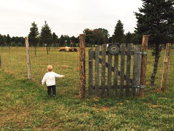 Rear view of girl standing at ranch