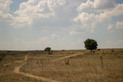 Scenic view of field against sky during sunset