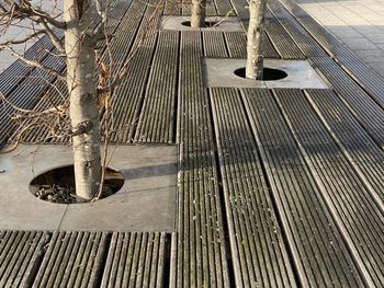 Low section of person standing on footpath