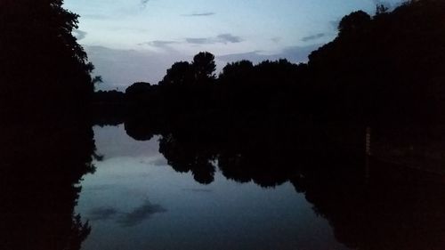 Reflection of trees in water